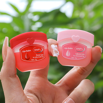 Fruit-Flavored Lip Balm Gift Set - Monti Bargains