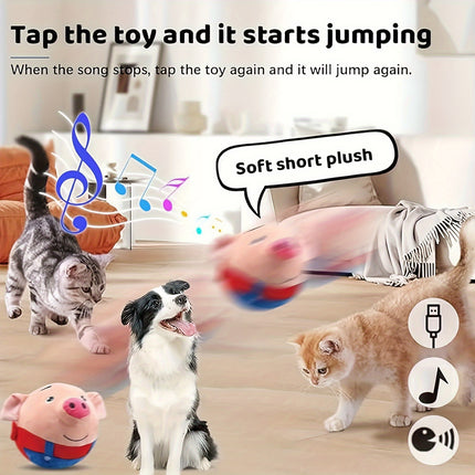 Active Bouncing Pet Toy – Fun & Interactive for Dogs - Monti Bargains