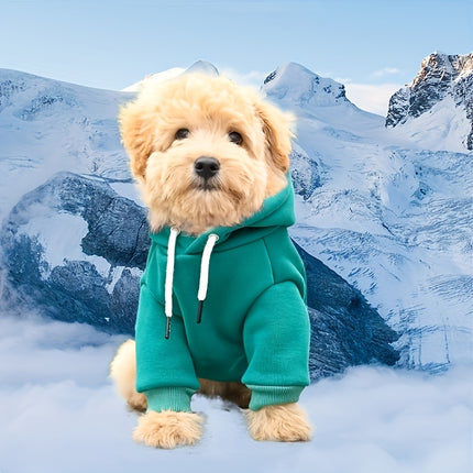 Cozy Hoodie for Small Dogs - Monti Bargains
