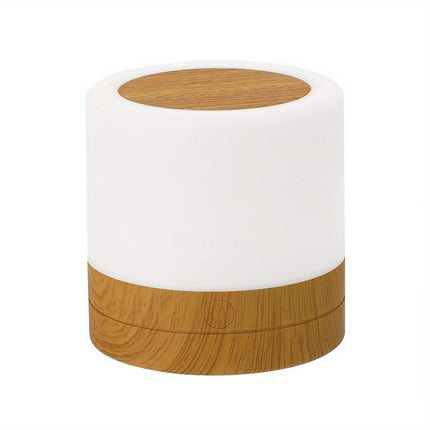 Shenzhi Tech LED Touch Night Lamp - Color-Changing Mood Light