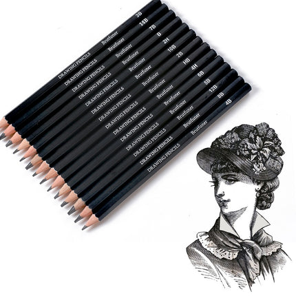 14pcs Professional Drawing Pencils Set