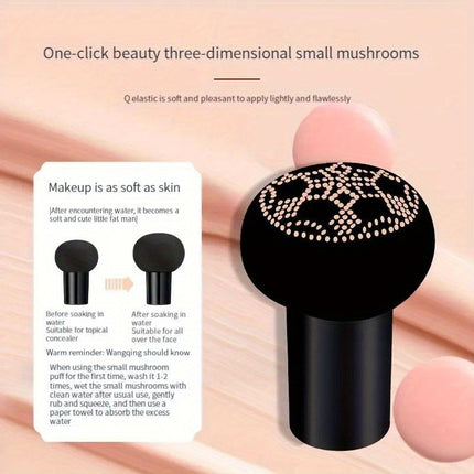 BB Cream Foundation with Sponge