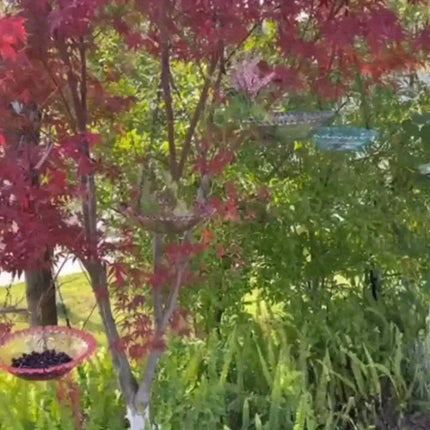 Hanging Bird Bath Feeder Set for Garden & Patio