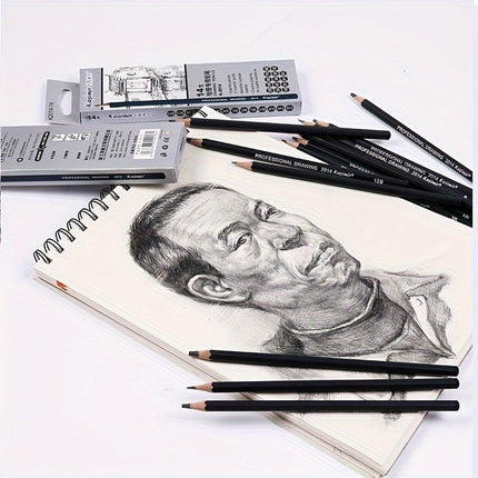 12pc Professional Sketch Set