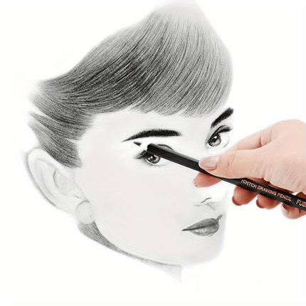 12pc Professional Sketch Set