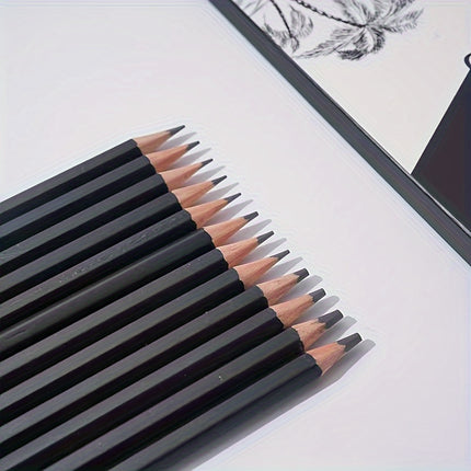 12pc Professional Sketch Set