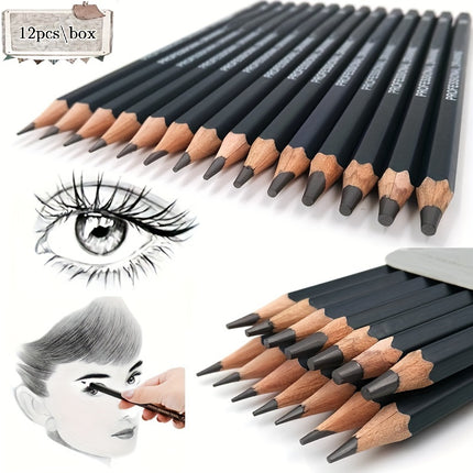12pc Professional Sketch Set