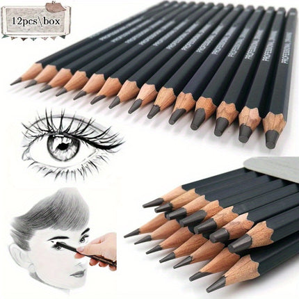 12pc Professional Sketch Set