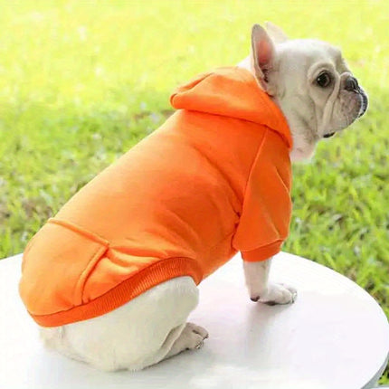 Snuggle Pup Hoodie Delight - Monti Bargains