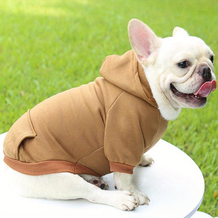 Snuggle Pup Hoodie Delight - Monti Bargains