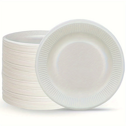 High-Quality White Disposable Plates for for All Kind Of Activities