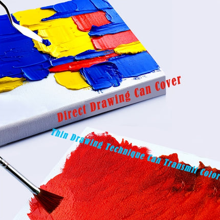 Professional Oil Paint Set
