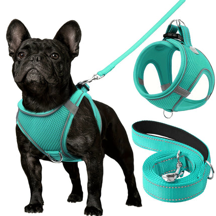 Reflective Dog Harness & Leash - Monti Bargains