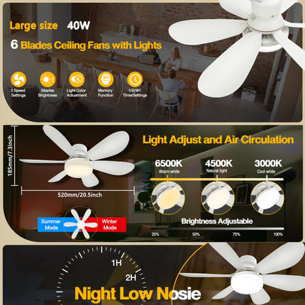 Ceiling Fan Light with Remote – 3-Speed Dimmable Fan
