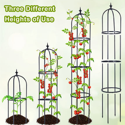 Elegant Tower Trellis for Climbing Plants & Flowers