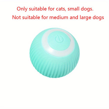 IInteractive Electric Cat Toy - Monti Bargains