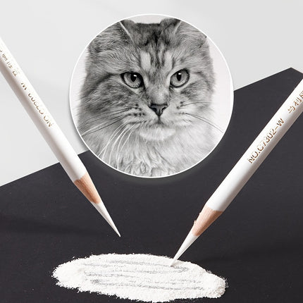 Marie's White Charcoal Pencils Set