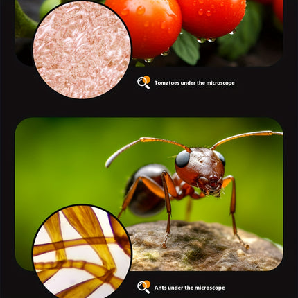 Portable Handheld Mini Microscope – Perfect for Exploration - Monti Bargains