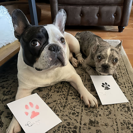 Forever Paw Print Keepsake - Monti Bargains
