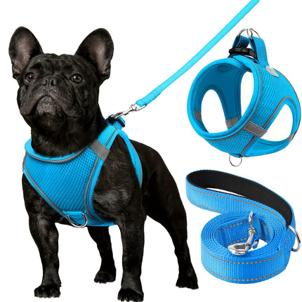 Reflective Dog Harness & Leash - Monti Bargains