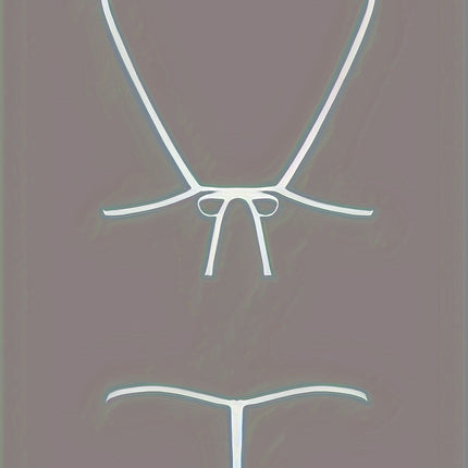 Sheer Tulle Erotic Lingerie Set