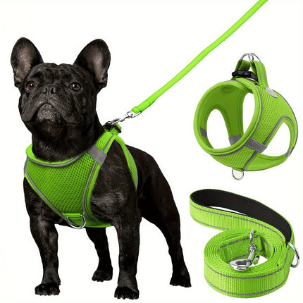 Reflective Dog Harness & Leash - Monti Bargains