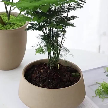 Artificial Moss Lawn - Miniature Greenery