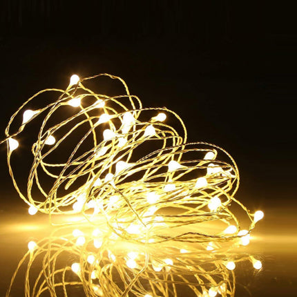 LED String Lights for Parties, Weddings & Holidays