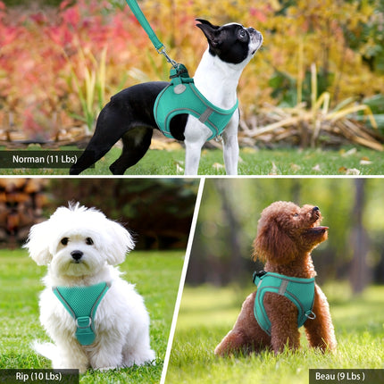 Reflective Dog Harness & Leash - Monti Bargains