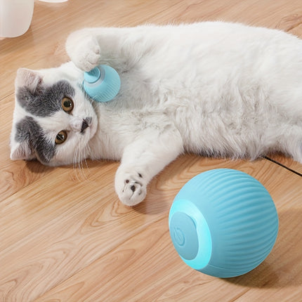 IInteractive Electric Cat Toy - Monti Bargains