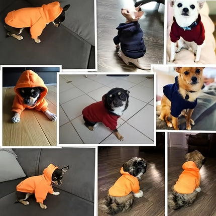 Snuggle Pup Hoodie Delight - Monti Bargains