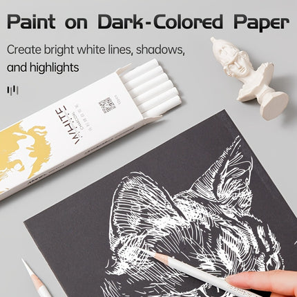 Marie's White Charcoal Pencils Set