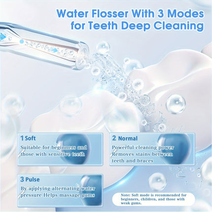 4-Nozzle Electric Water Flosser