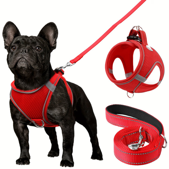Reflective Dog Harness & Leash - Monti Bargains