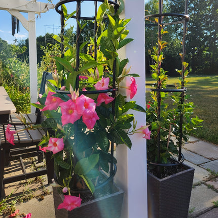 Elegant White Tower Trellis for Climbing Plants & Vines