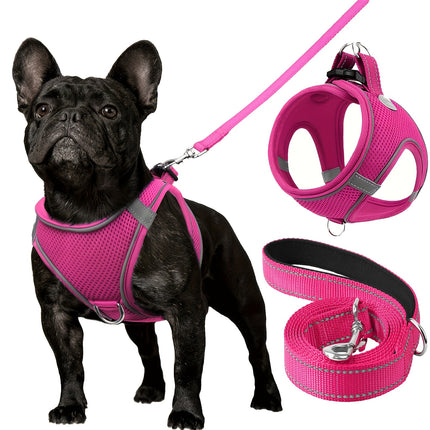 Reflective Dog Harness & Leash - Monti Bargains