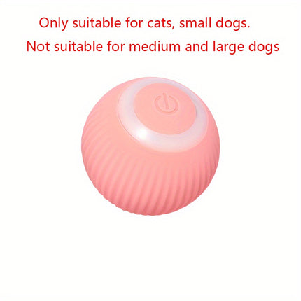 IInteractive Electric Cat Toy - Monti Bargains