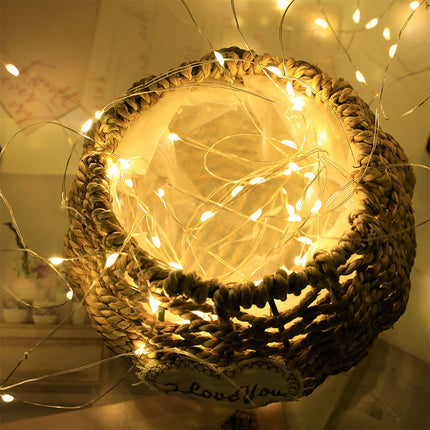 LED String Lights for Parties, Weddings & Holidays