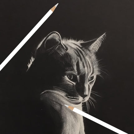 Professional White Charcoal Pencils Set