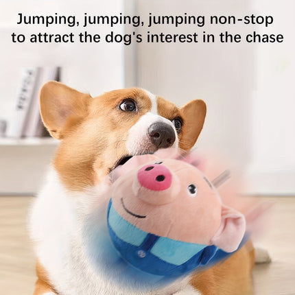 Active Bouncing Pet Toy – Fun & Interactive for Dogs - Monti Bargains