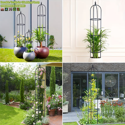 Elegant Tower Trellis for Climbing Plants & Flowers