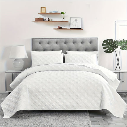 Soft & Cozy 3pcs Quilt Bedding Set