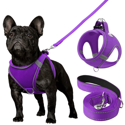 Reflective Dog Harness & Leash - Monti Bargains