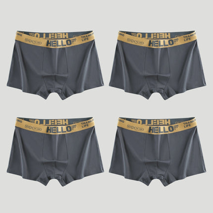 4-Pack Men's Cotton Boxer Briefs