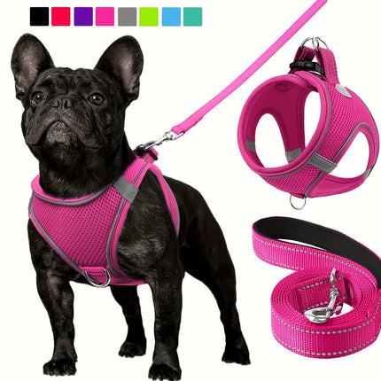 Reflective Dog Harness & Leash - Monti Bargains