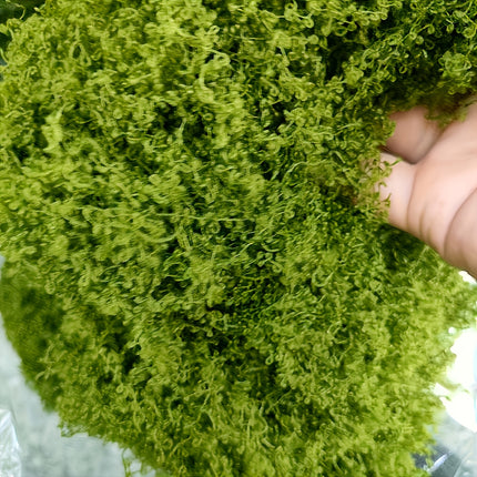 Artificial Moss Lawn - Miniature Greenery