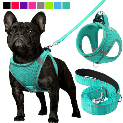 Reflective Dog Harness & Leash - Monti Bargains
