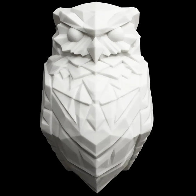 3D Eagle & Owl Christmas Wall Light