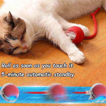 Smart Rolling Cat Toy Ball with Tail