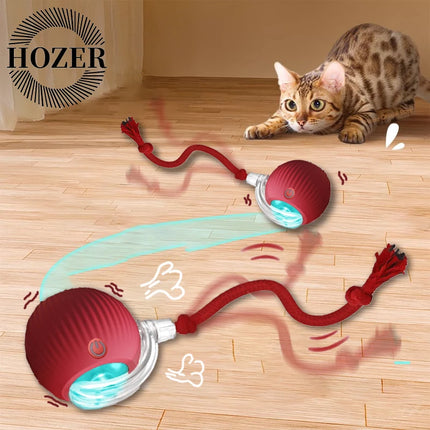 Smart Rolling Cat Toy Ball with Tail